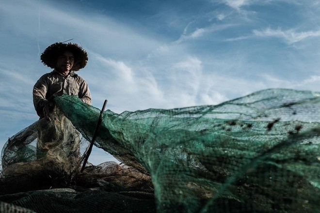 Người dân vùng đầm phá Tam Giang Huế đang đánh bắt cá bằng lưới chuyên dụng